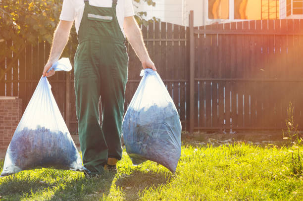 Best Junk Hauling Services  in Stanton, MI